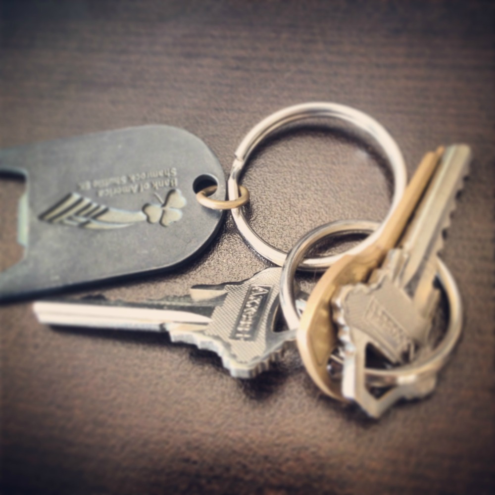 These are the keys that should have been in my pocket instead of chillin' on the counter.