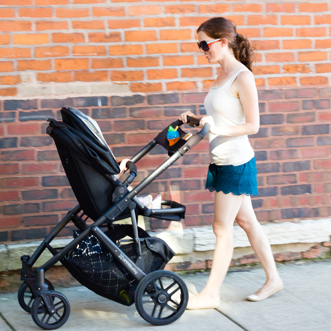 UPPAbaby Vista Stroller