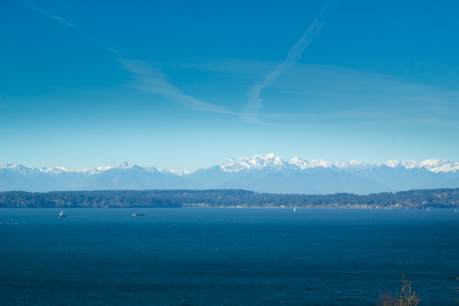 Magnolia Blvd Walk in Seattle