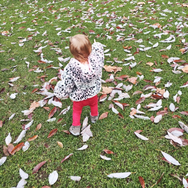 Toddler (Mis)communication