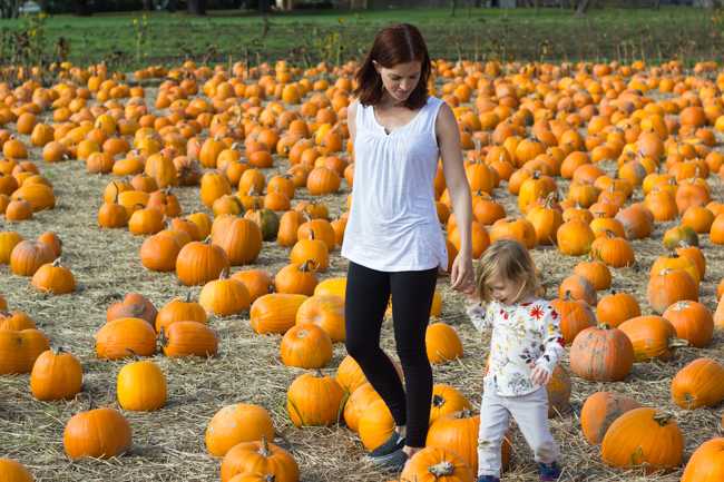 pumpkin patch