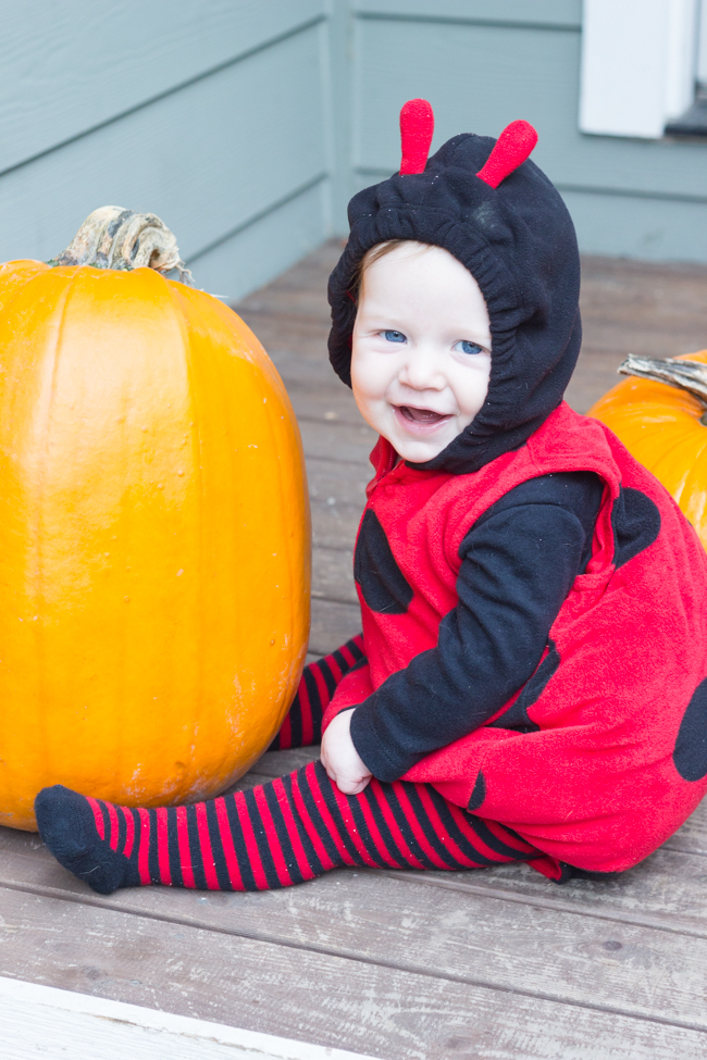 halloween-lady-bug