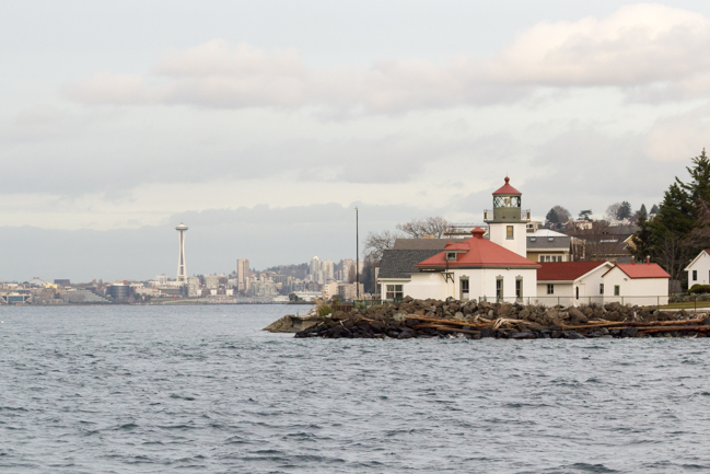 Whale watching in Seattle: Tips!