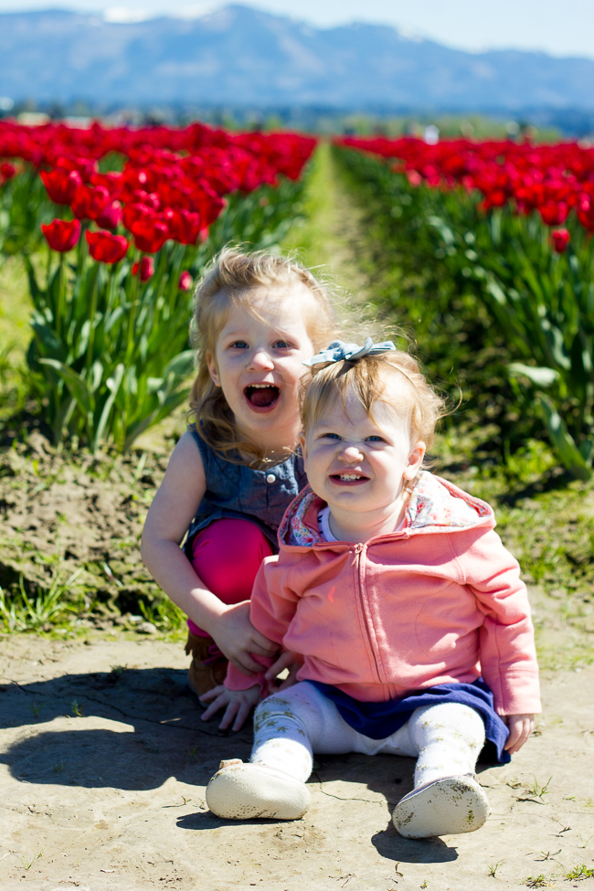 Skagit Valley Tulip Festival