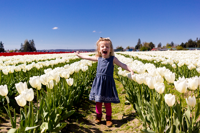 Skagit Valley Tulip Festival