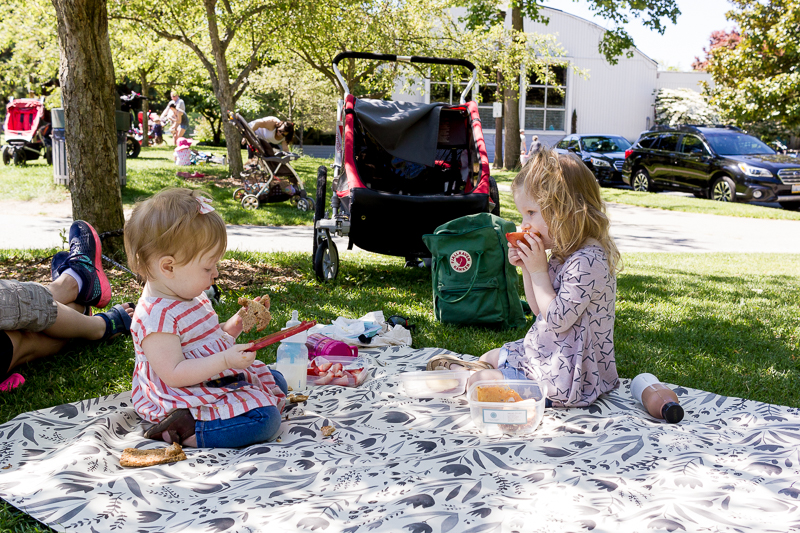 picnic-in-the-park