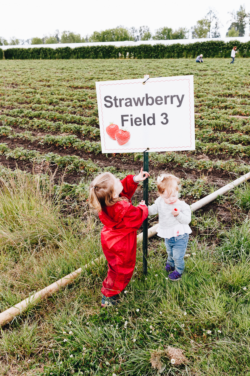 Adventuring with kids: Strawberry picking!