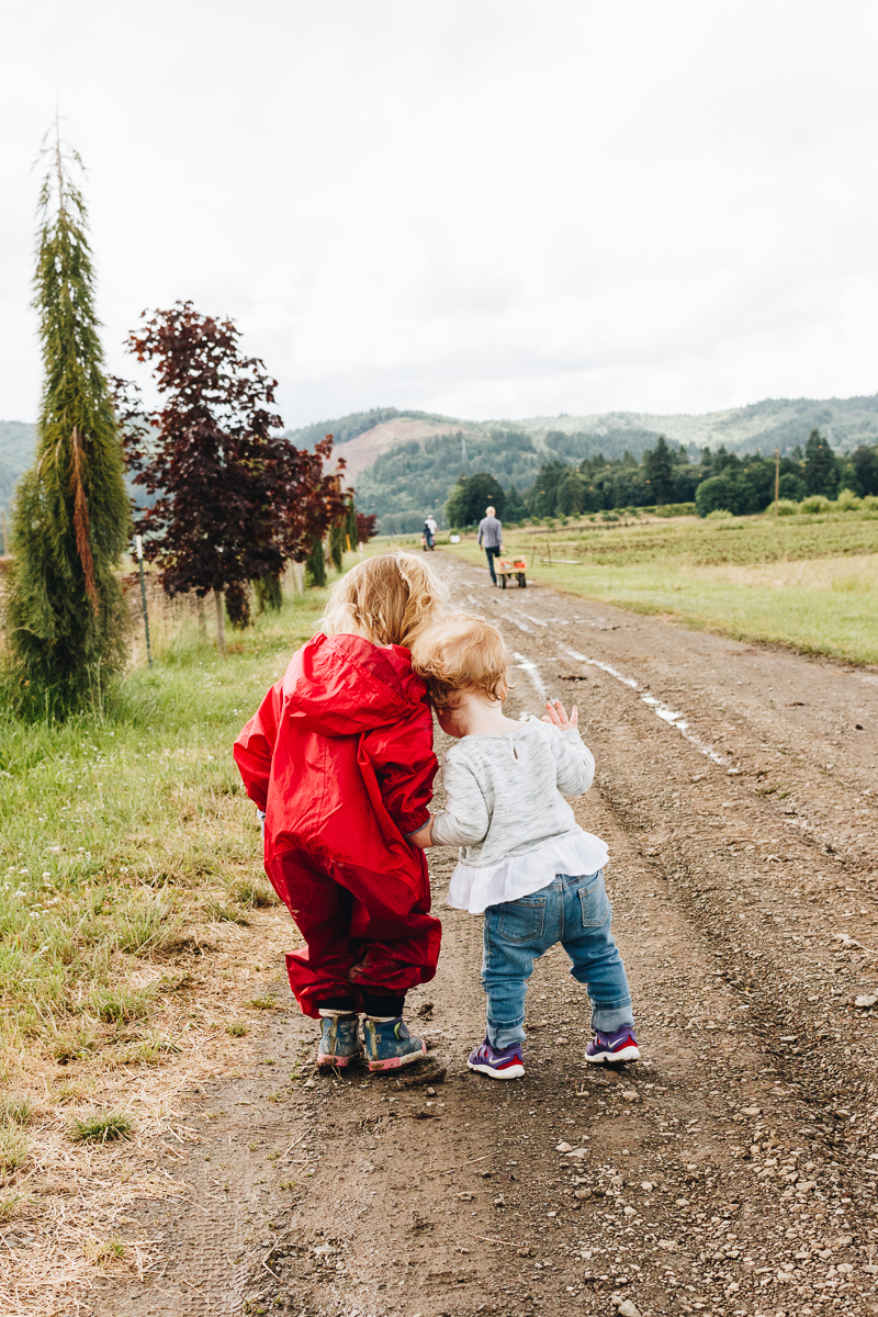 Adventuring with kids: Strawberry picking!