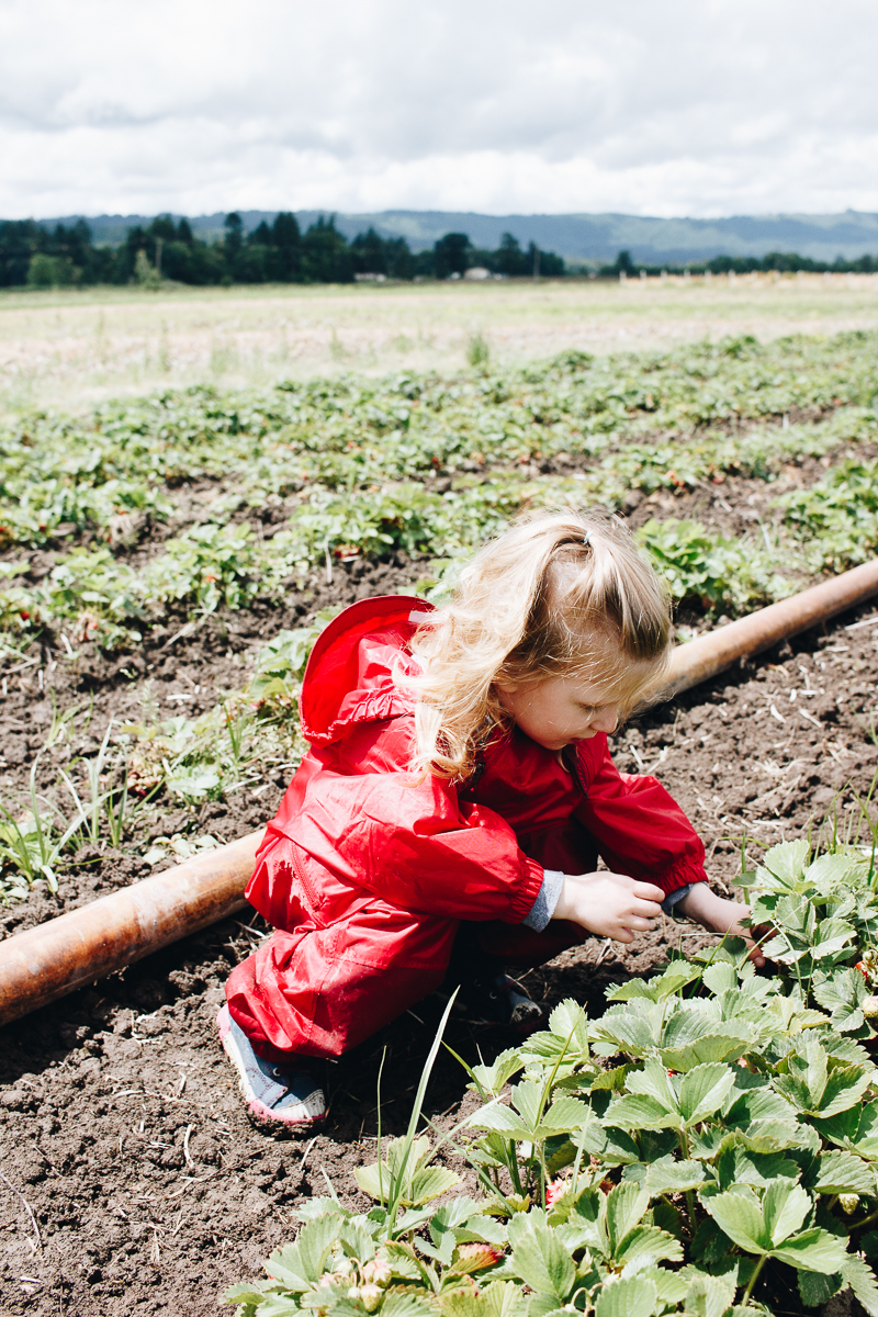 Adventuring with kids: Strawberry picking!