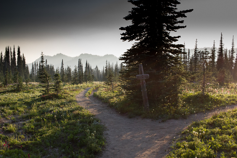 Snowgrass Flats in Goats Rock Wilderness