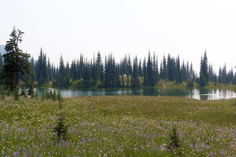 Sheep Lake in WA