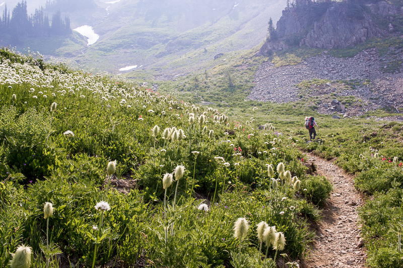 Cispus Basin in WA