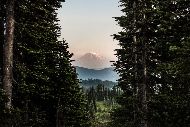 Snowgrass Flats in Goats Rock Wilderness