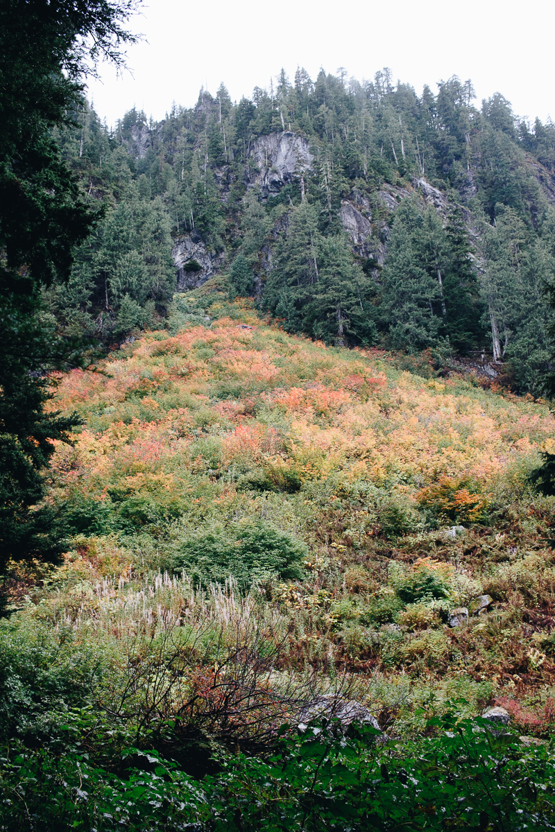 Hiking Heather Lake in WA