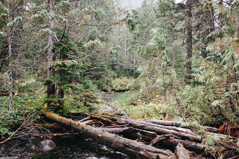 Hiking Heather Lake in WA