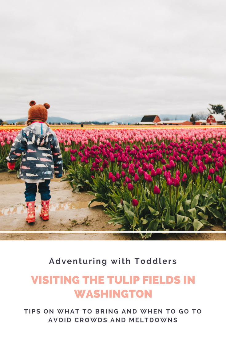 Tips for visiting the tulip fields in Washington (with toddlers)!