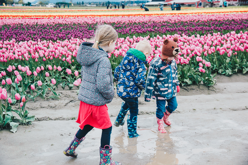 Tips for visiting the tulip fields in Washington (with toddlers)!