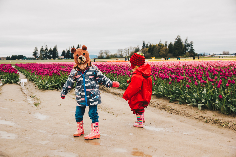 Tips for visiting the tulip fields in Washington (with toddlers)!