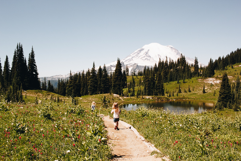 Weekend trip from Seattle: Mt Rainier National Park!