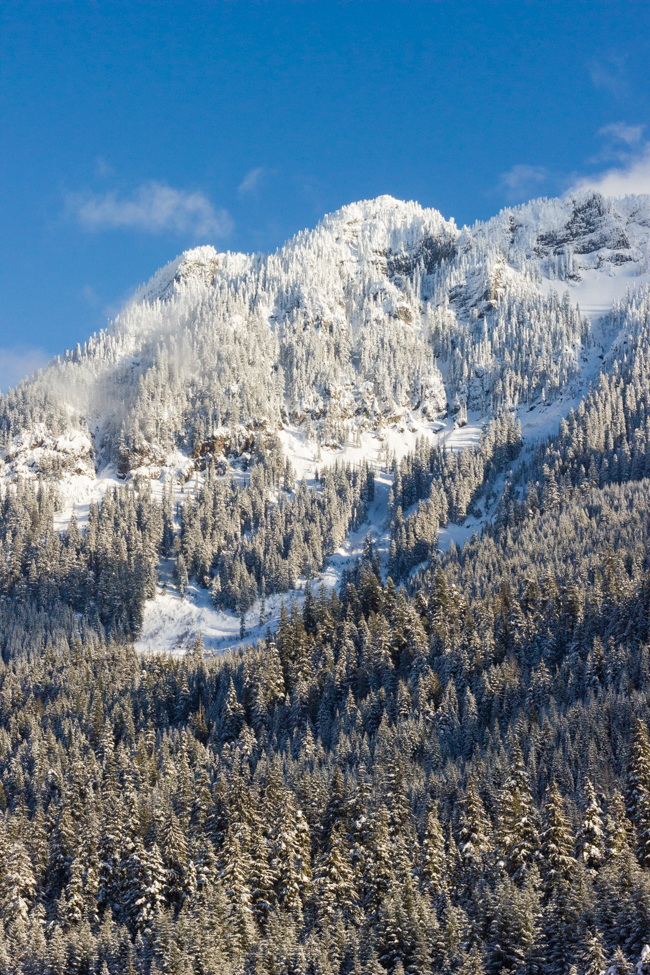 Snowshoeing at Gold Creek Pond