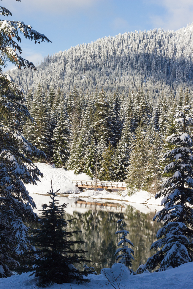 Snowshoeing at Gold Creek Pond