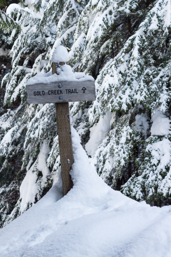 Snowshoeing at Gold Creek Pond